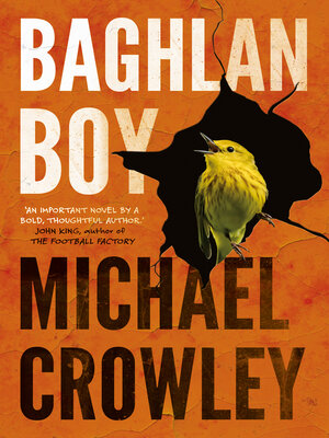 cover image of Baghlan Boy